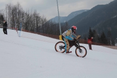 hor12whitedown3-sport