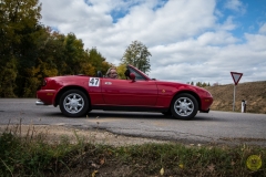 01_20171014_120631_IMG_5596