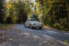 05_1_20171014_142831_IMG_5847