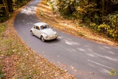 06_2_20171014_143947_DSC_0331