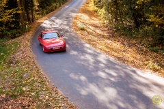 06_2_20171014_150608_DSC_0482