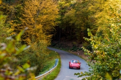 06_2_20171014_151830_DSC_6325