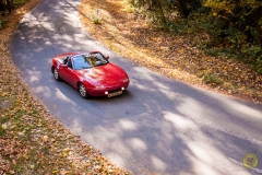 06_2_20171014_151926_DSC_0537