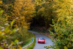 06_2_20171014_152658_DSC_6401