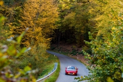 06_2_20171014_153555_DSC_6492