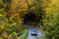 06_2_20171014_153920_DSC_6524