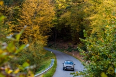 06_2_20171014_153940_DSC_6533