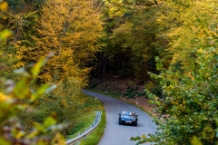 06_2_20171014_154137_DSC_6549