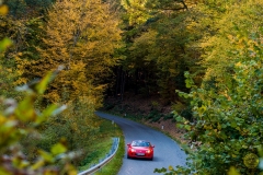 06_2_20171014_155054_DSC_6623