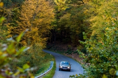 06_2_20171014_155250_DSC_6643