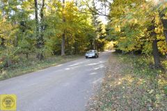 Kraut und Rüben 2025 - Doberndorf