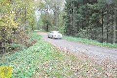 Kraut und Rüben 2025 - Passendorf